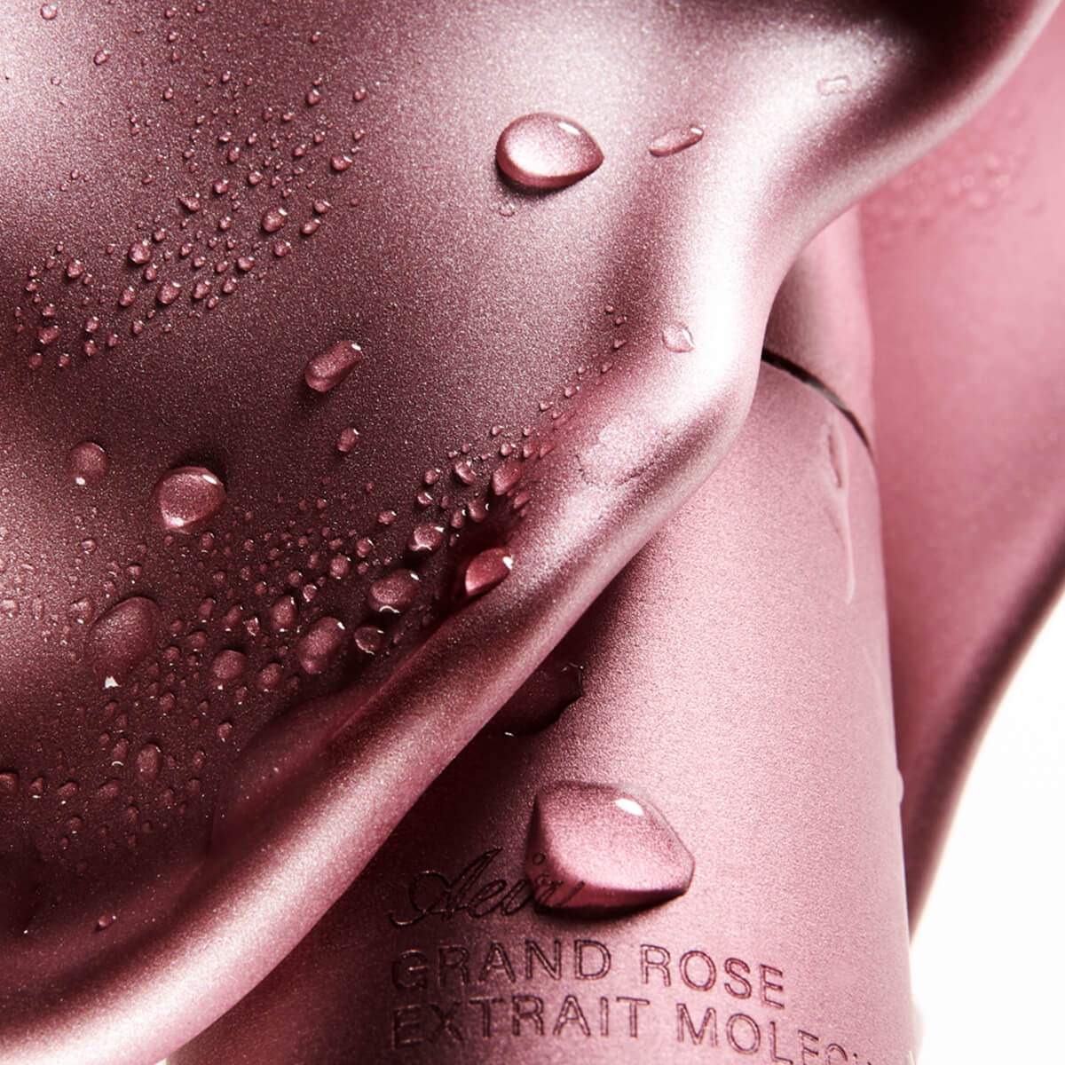 grand rose by rose | editorial cover for 'impossible fragrance : NAMES X Aeir